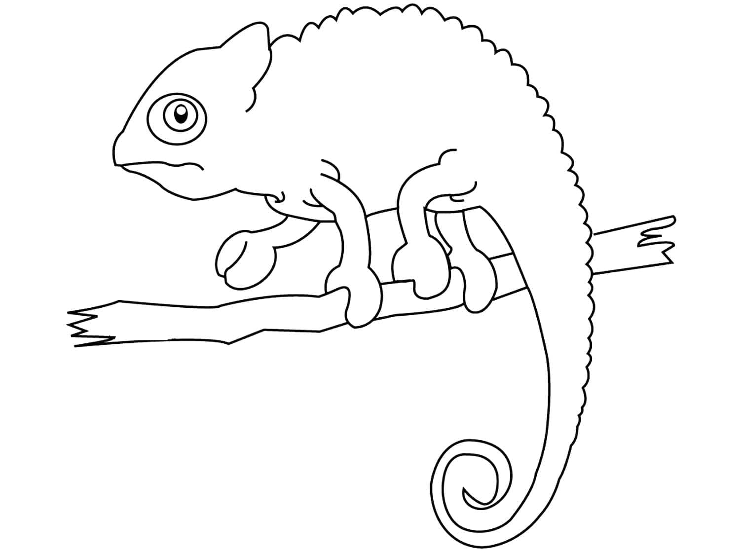 Målarbild Kameleont på en Gren