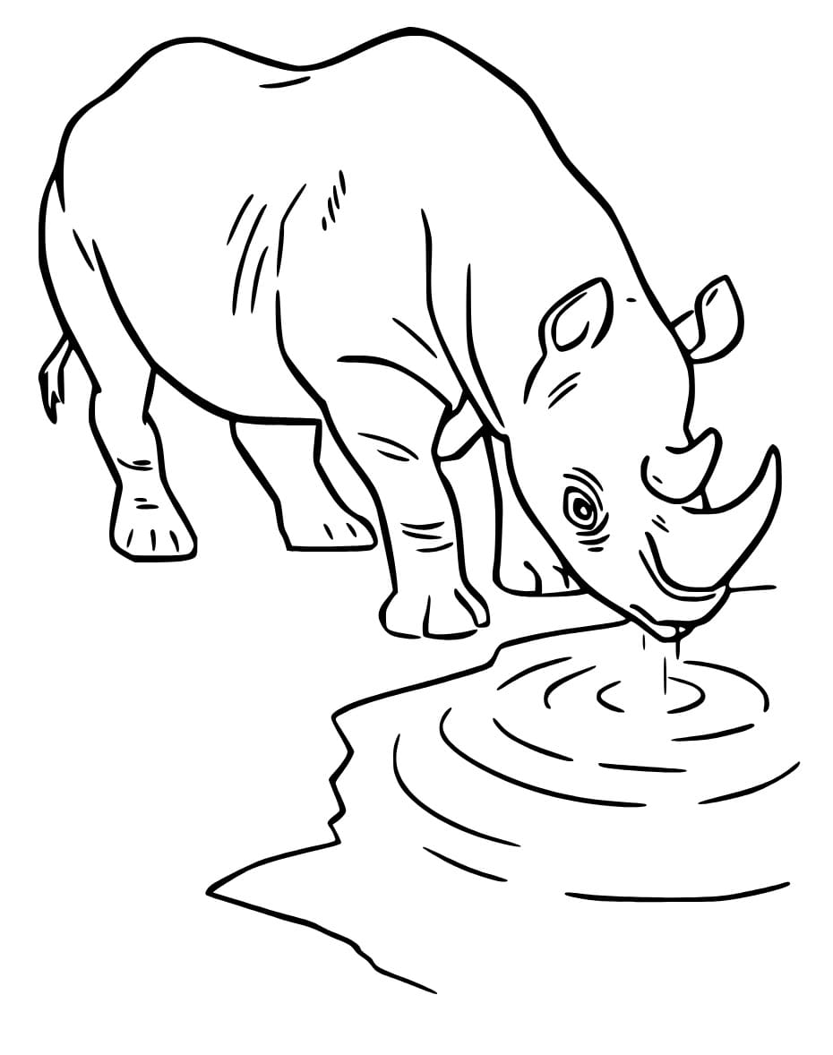 Målarbild Noshörning Dricker Vatten