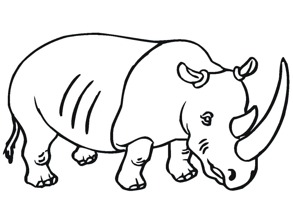 Målarbild Noshörningen