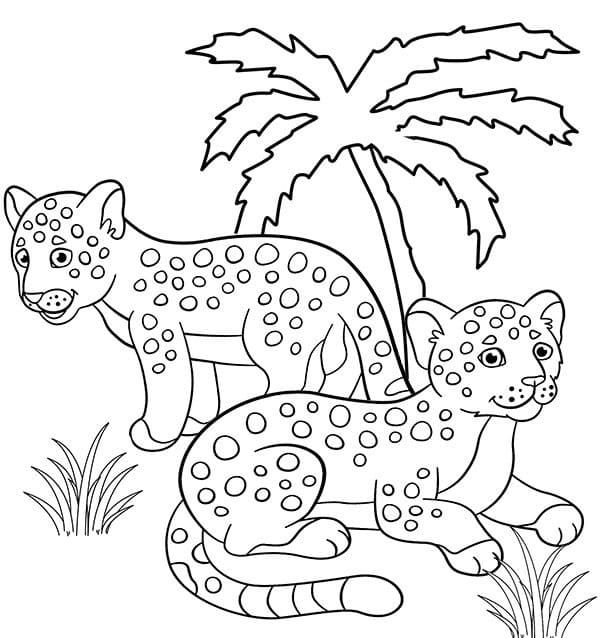 Målarbild Söta Jaguarer