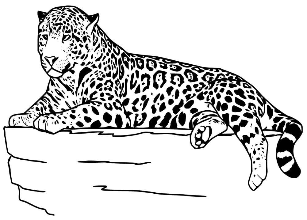 Målarbild Stor Jaguar