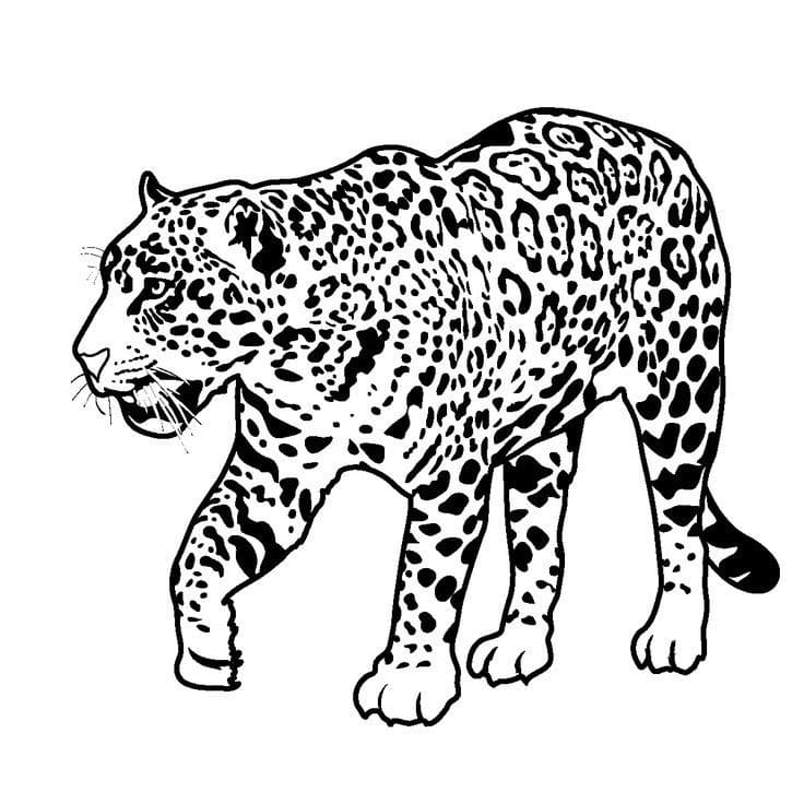 Målarbild Vanlig Jaguar