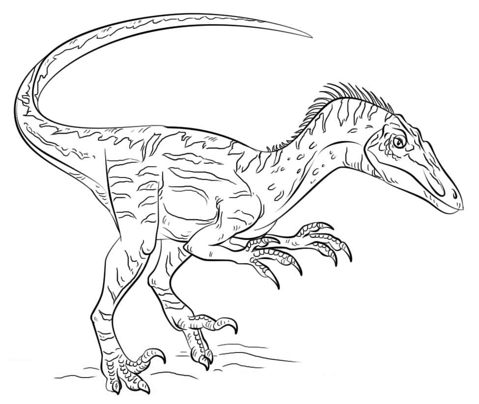 Målarbild Velociraptorn