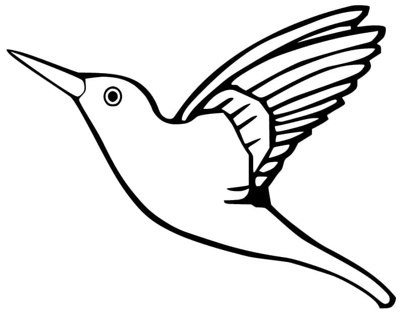 Målarbild En Flygande Kolibri