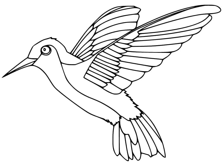 Målarbild En Kolibri