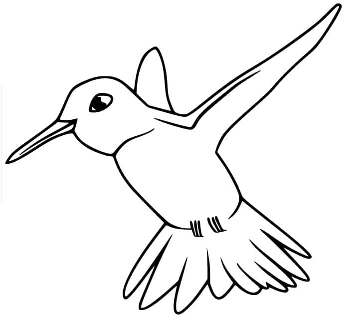 Målarbild En Söt Kolibri