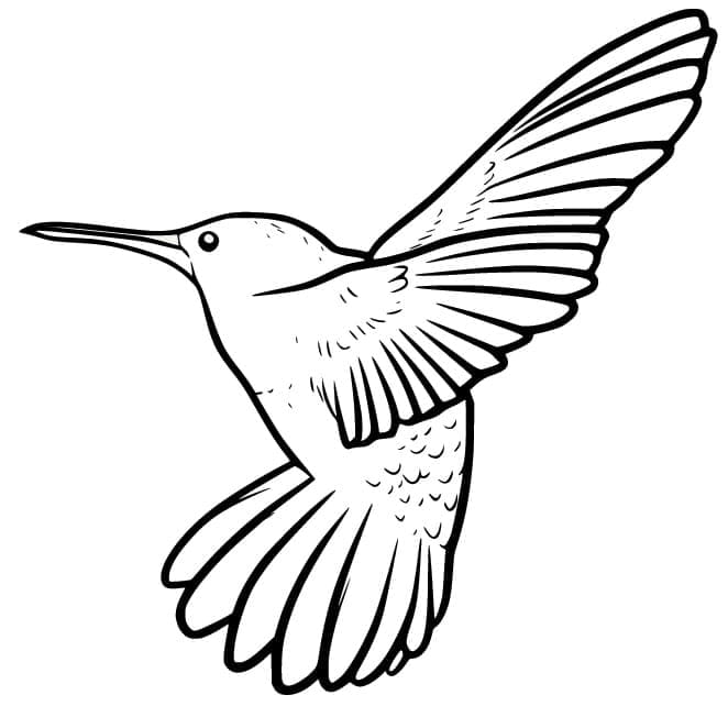 Målarbild Enkel Kolibri