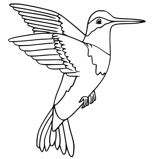 Målarbild Flygande Kolibri