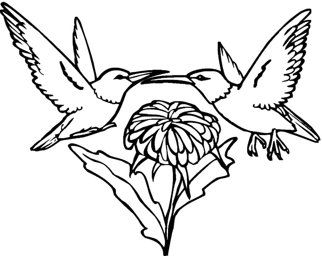 Målarbild Flygande Kolibrier
