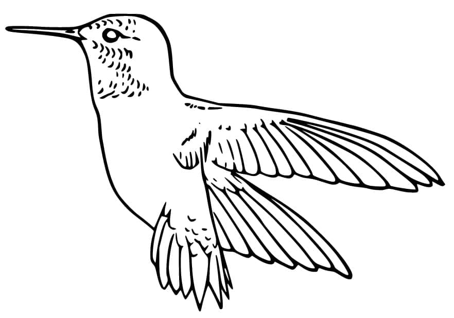 Målarbild Kolibri 1