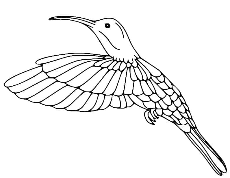 Målarbild Kolibri 3