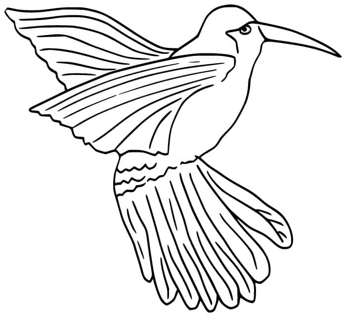 Målarbild Kolibri Gratis