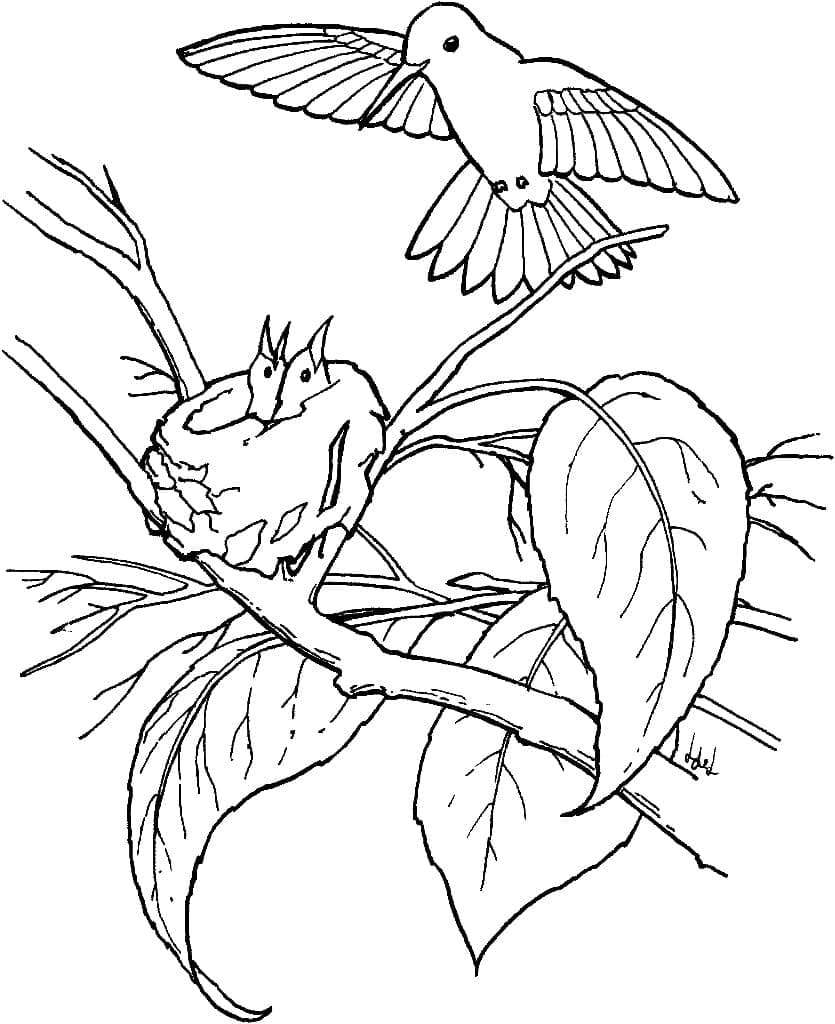 Målarbild Kolibri i trädet