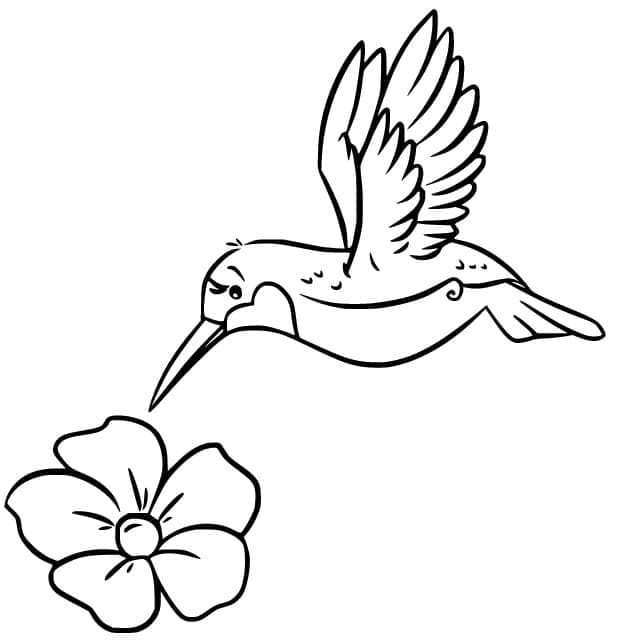 Målarbild Kolibri med Blomma