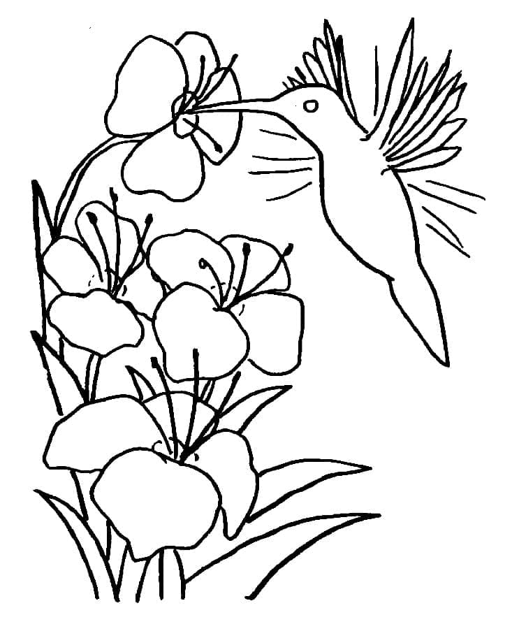 Målarbild Kolibri med Blommor