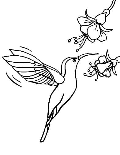 Målarbild Kolibri och Blommor