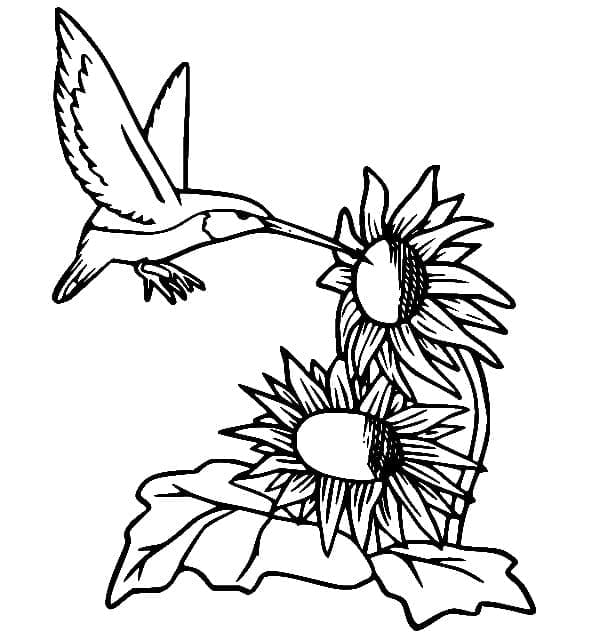 Målarbild Kolibri och Solrosor
