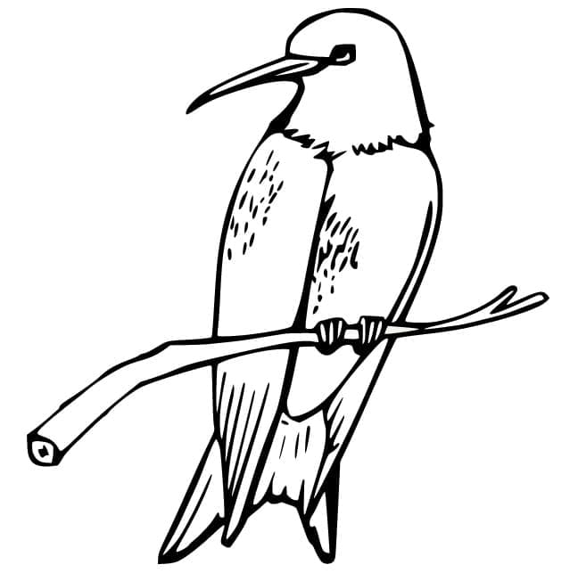 Målarbild Kolibri uppflugen på gren