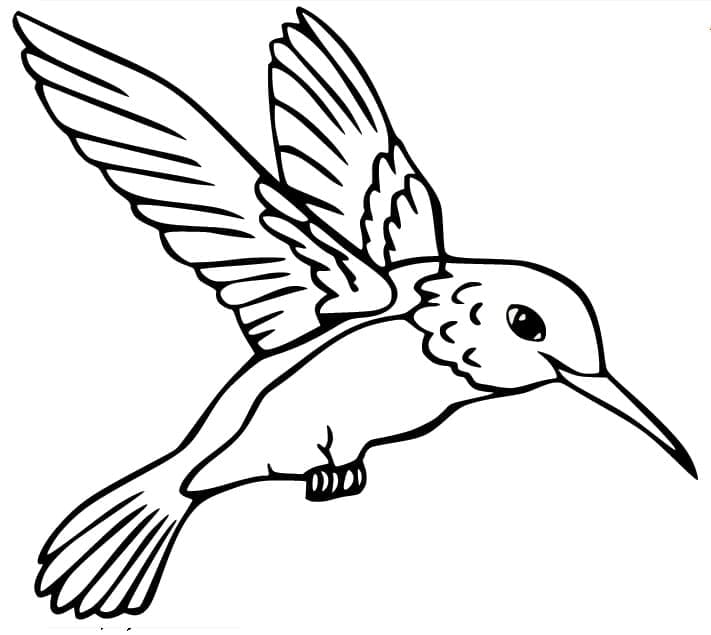 Målarbilder Kolibri