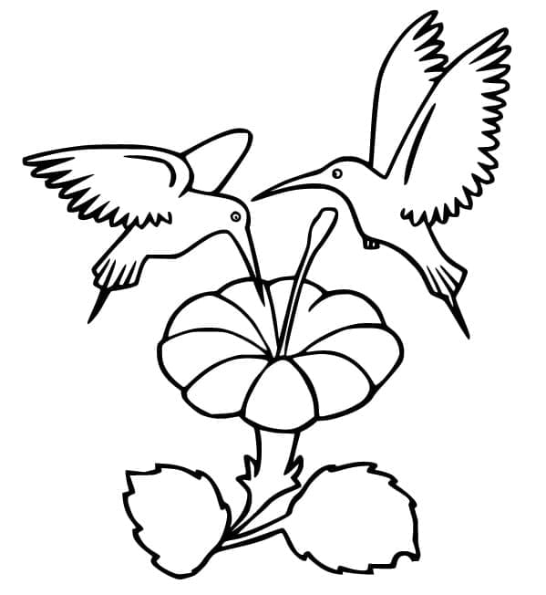 Målarbild Kolibrier och Blomma