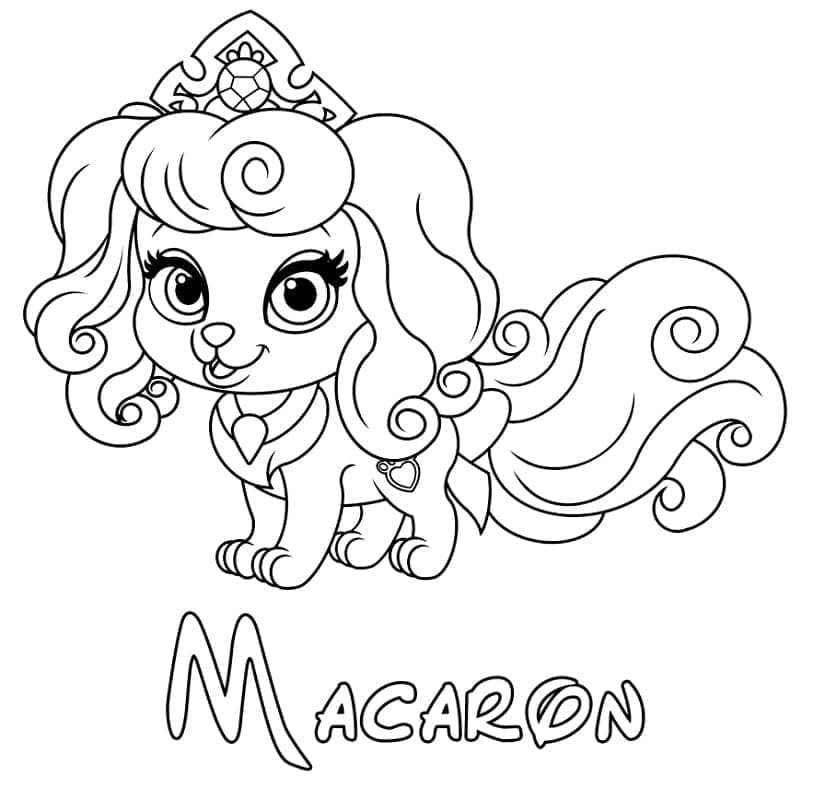 Målarbild Macaron från Palace Pets