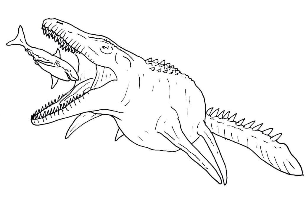 Målarbild Mosasaurus jagar haj