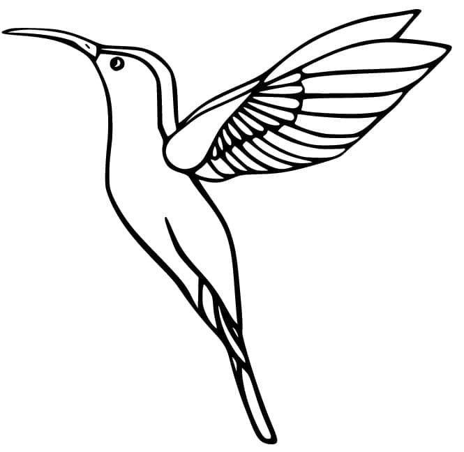 Målarbild Mycket Enkel Kolibri