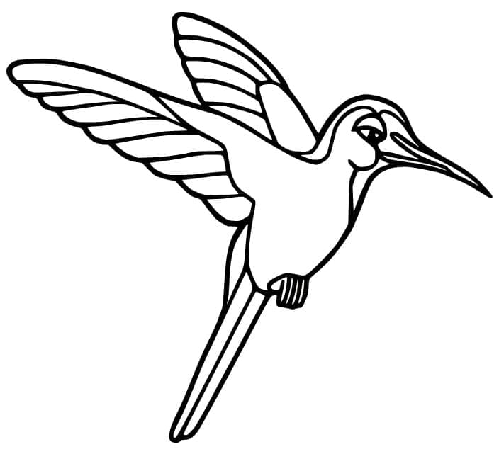 Målarbild Snygg Kolibri