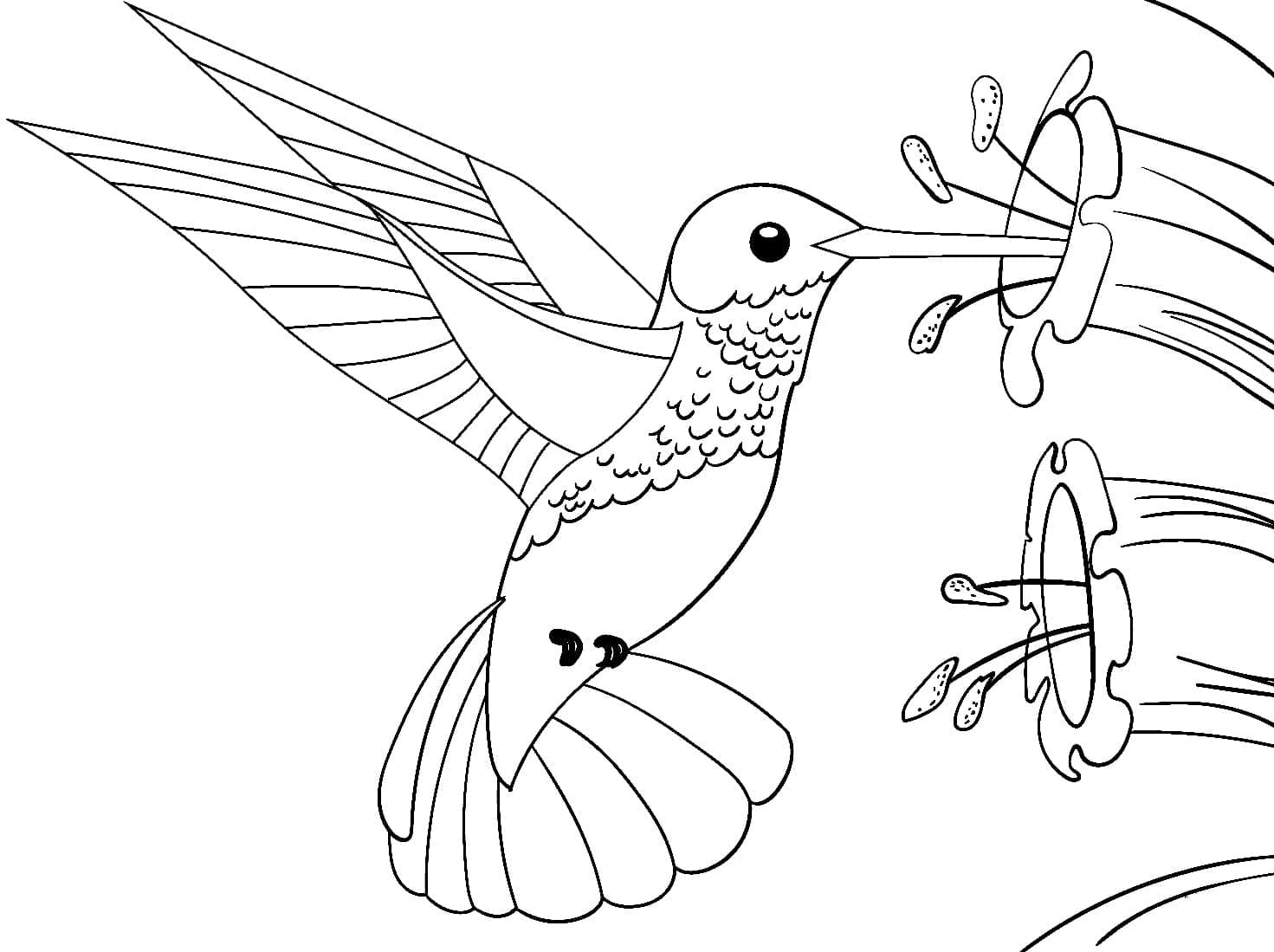 Målarbild Söt Kolibri