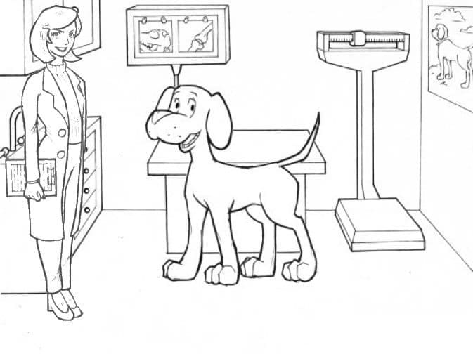 Målarbild Veterinär med Hund
