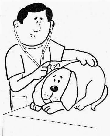 Målarbild Veterinär och en Hund