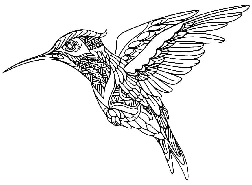 Målarbild Zentangle Kolibri