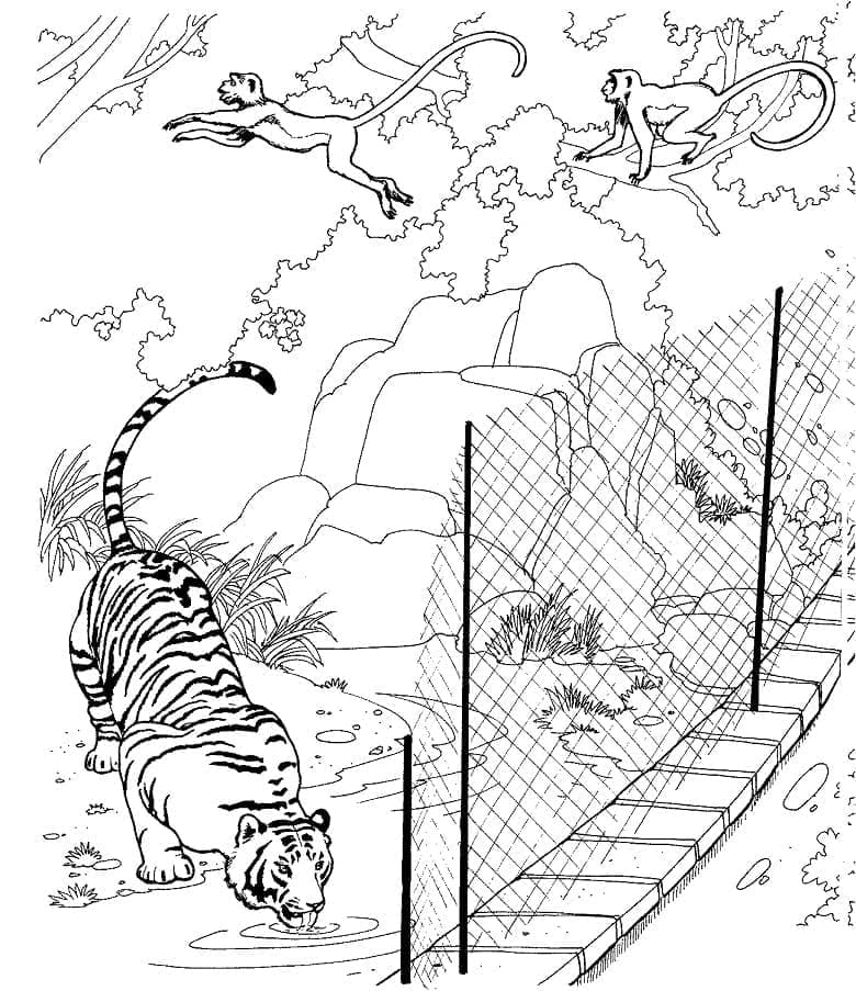 Målarbild Tiger i Djurparken