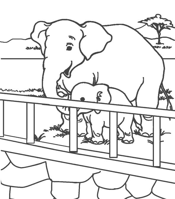 Målarbild Zoo Elefanter
