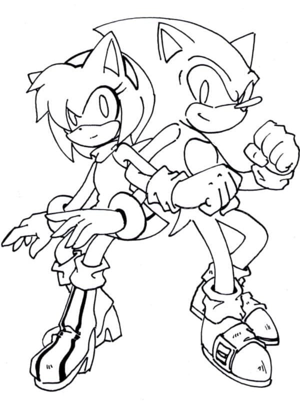 Målarbild Amy Rose med Sonic