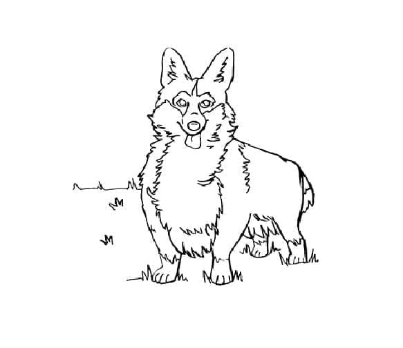 Målarbild En Corgi-hund