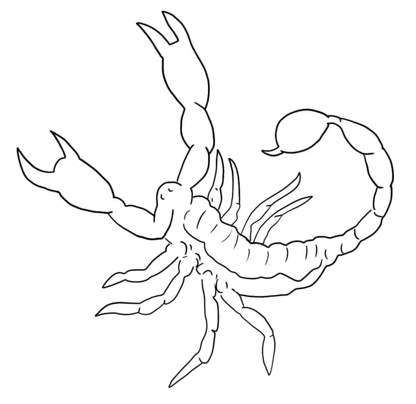 Målarbild En Enkel Skorpion
