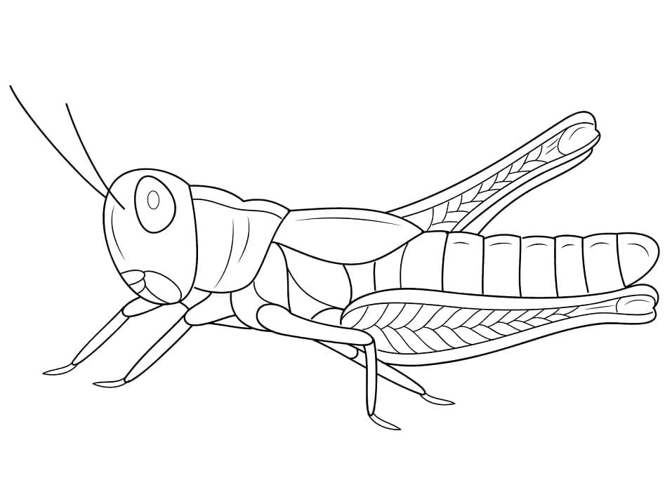 Målarbild Gräshoppa 1