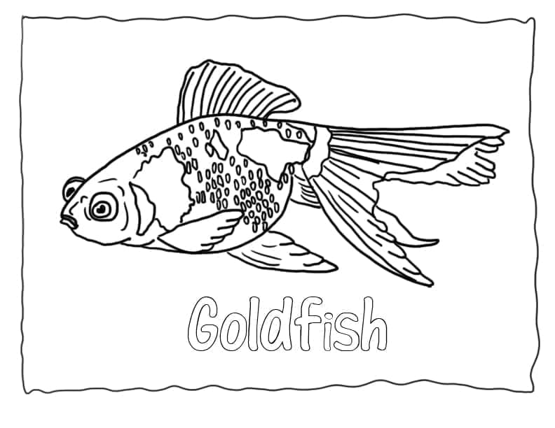 Målarbild Guldfisk Gratis Utskrivbar