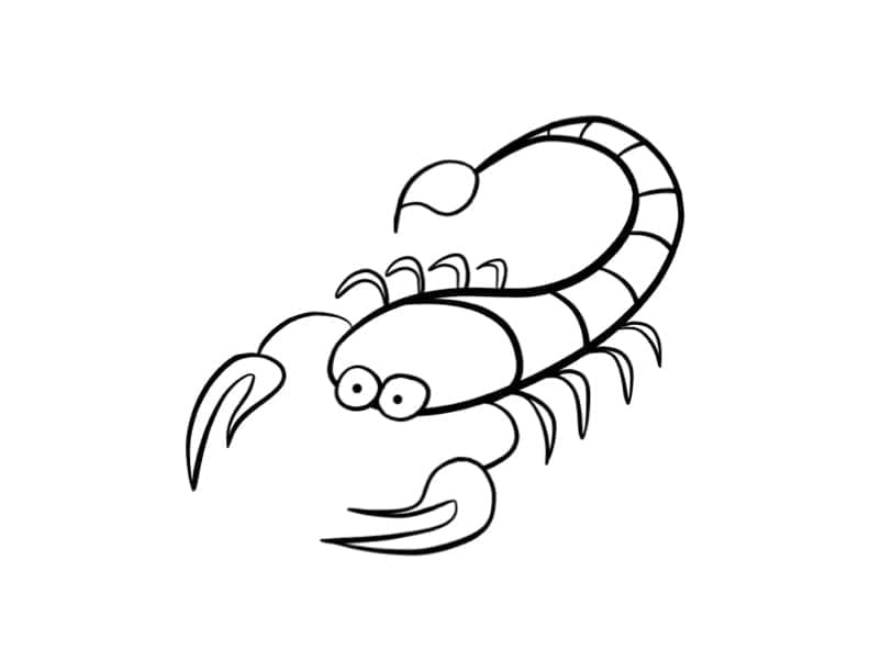 Målarbild Liten Skorpion