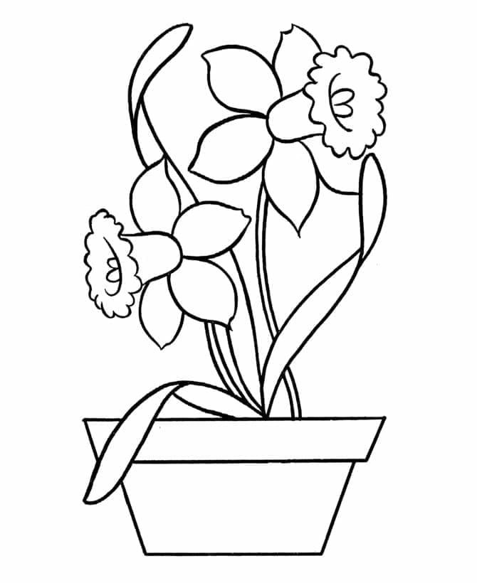 Målarbild Påskliljor i Blomkruka