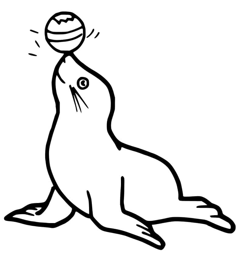 Målarbild Sjölejon leker med en boll