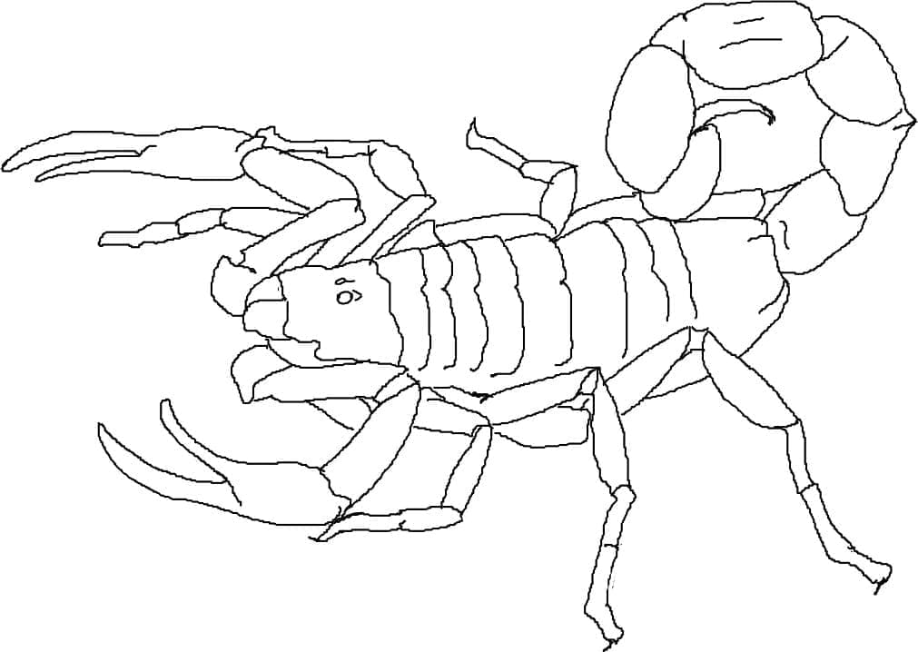 Målarbild Skorpion Gratis