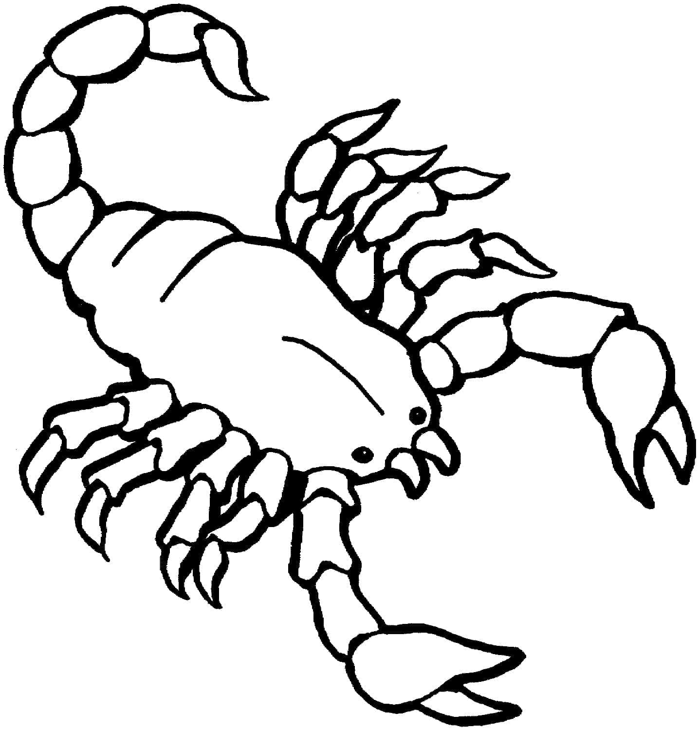 Målarbild Skorpion med många ben
