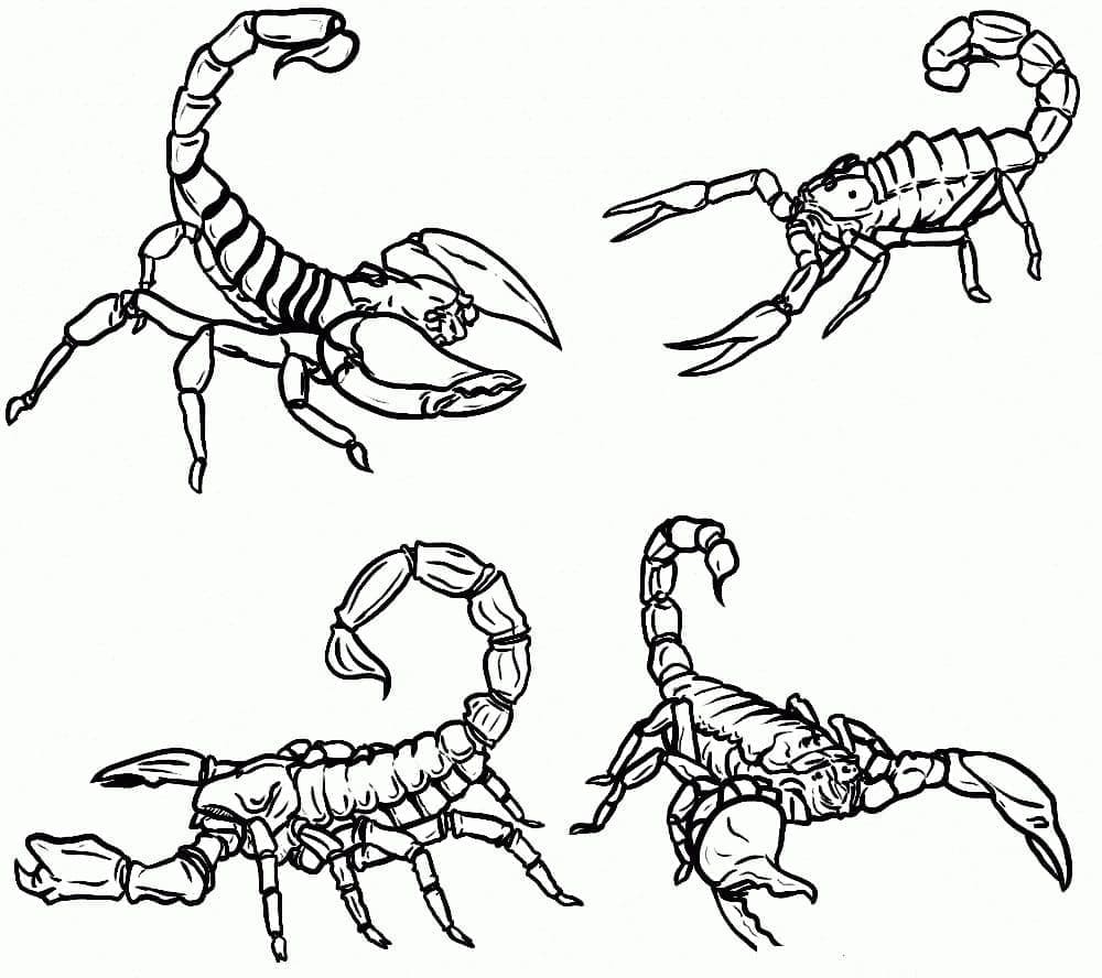 Målarbild Skorpioner