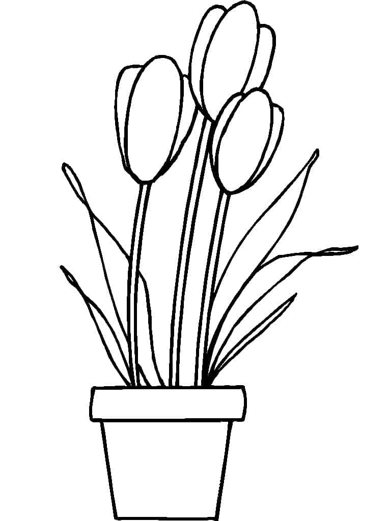 Målarbild Tulpan Blomkruka