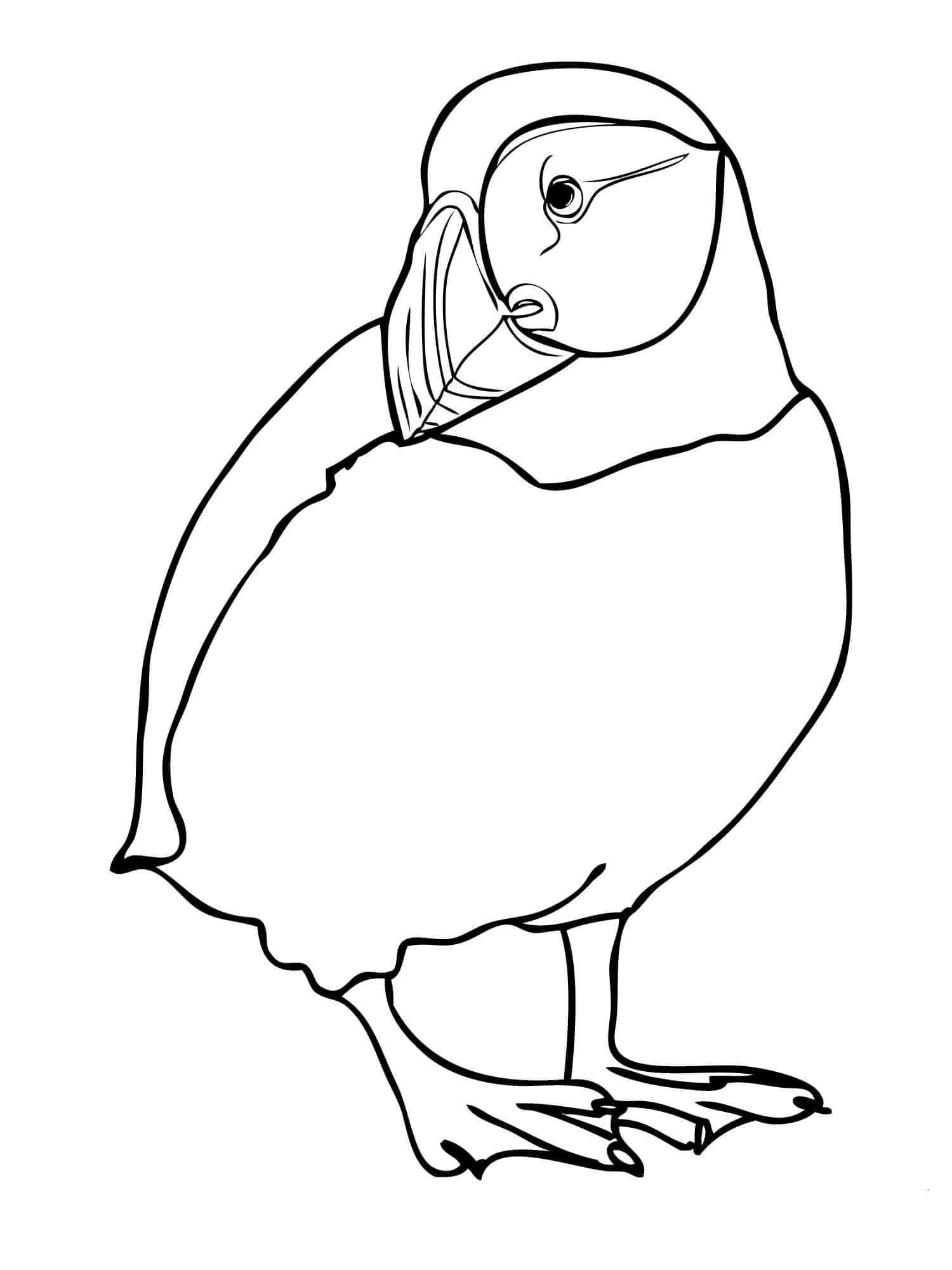Målarbild En Vanlig Lunnefågel
