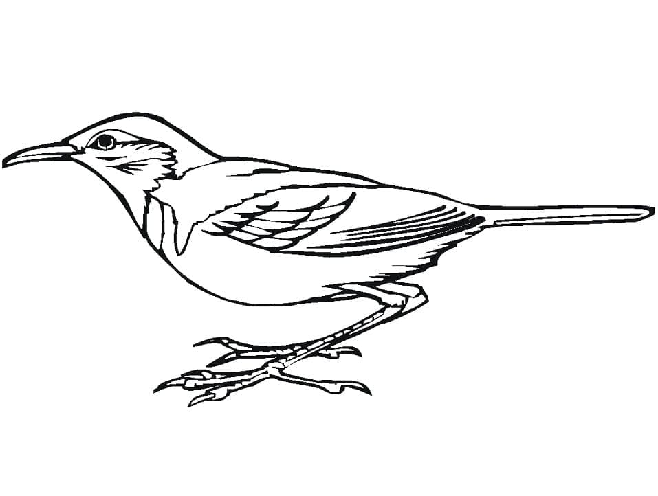 Målarbild Hackspettfågel