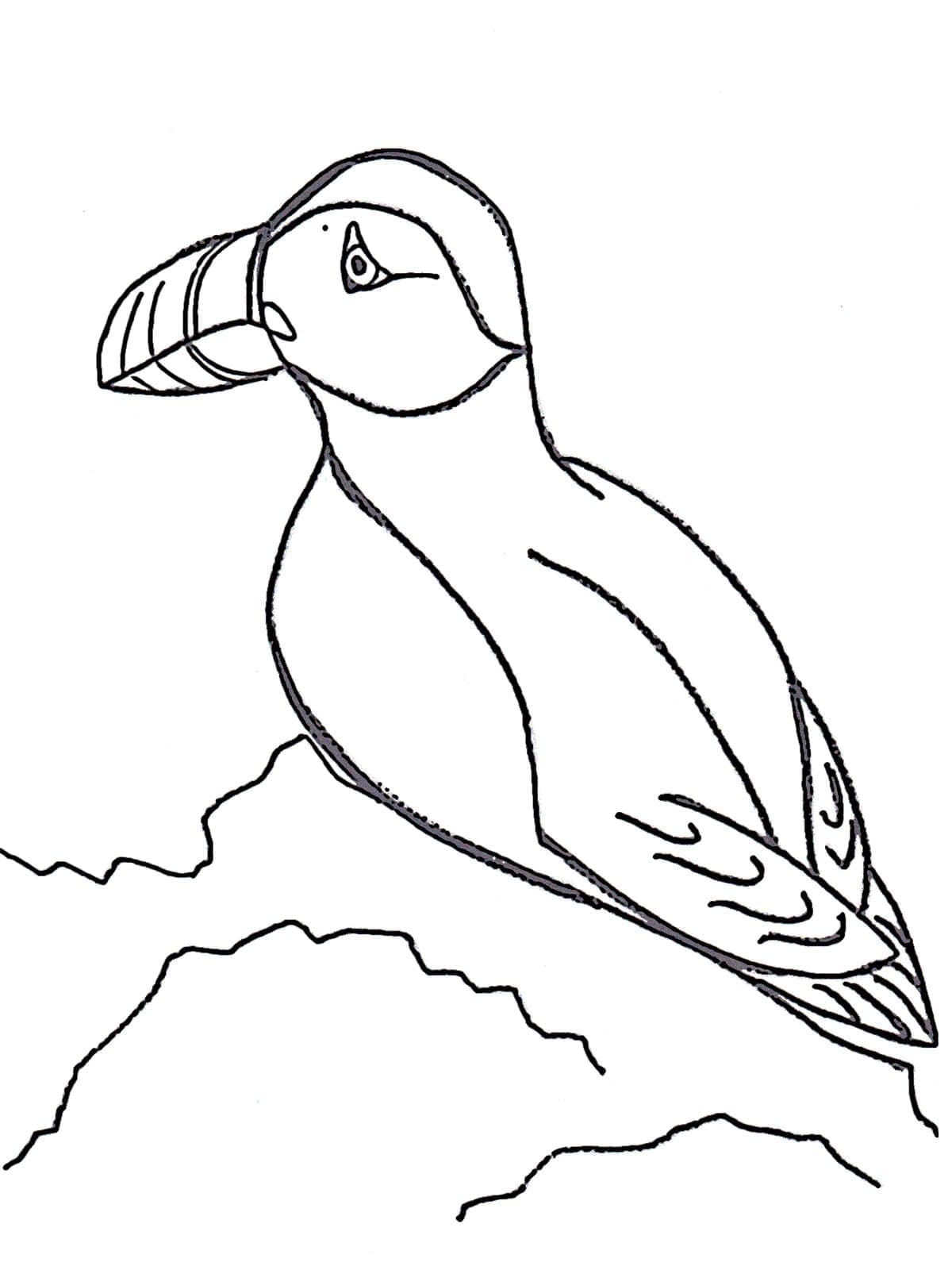 Målarbild Lunnefågel - sjöfågel