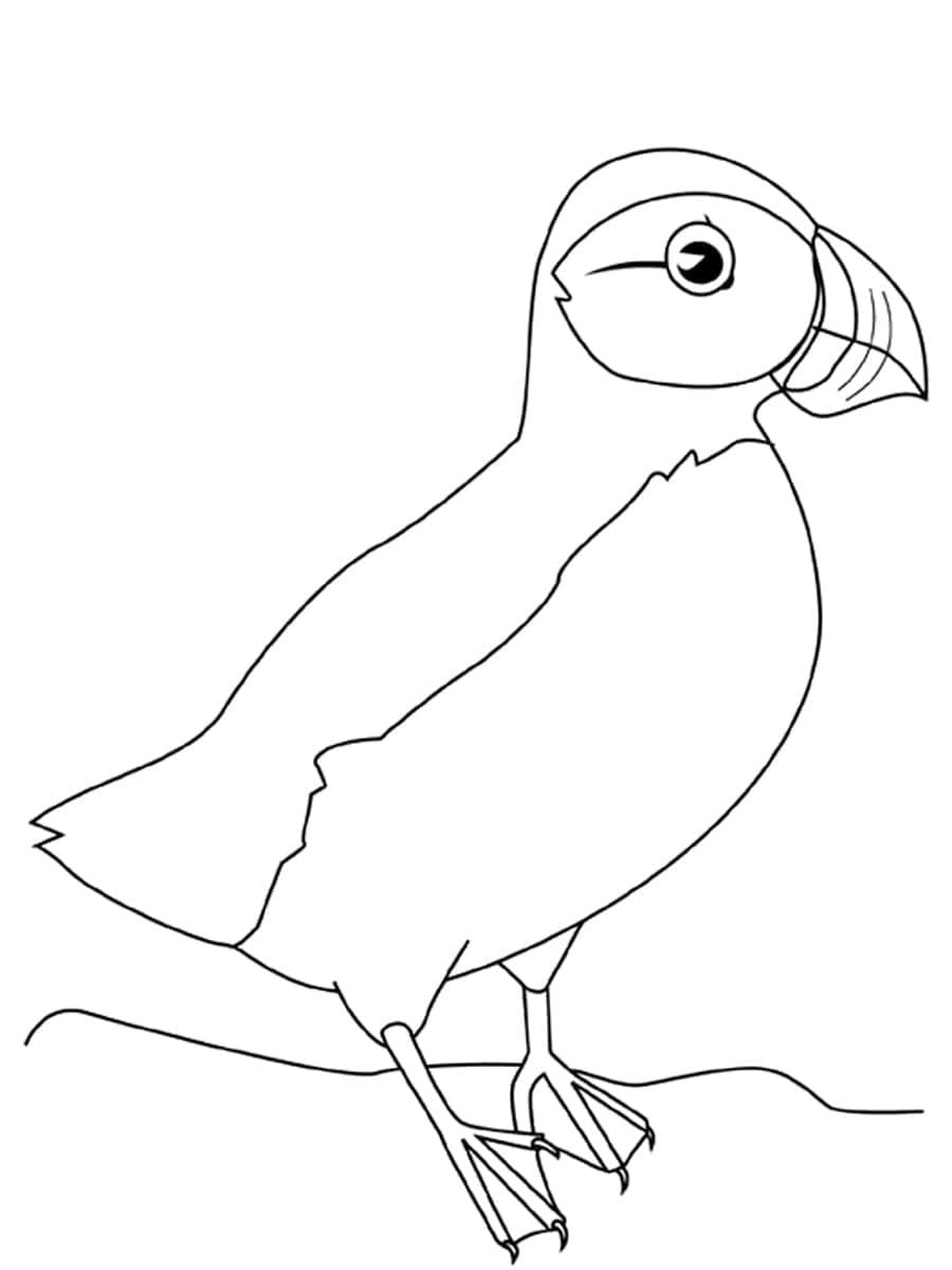 Målarbild Vanlig Lunnefågel